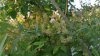 20150521_193818.jpg
