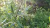 20150521_193232.jpg