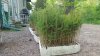 20150520_195451.jpg