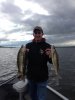Walleye (Andrew).jpg