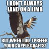 condor.jpg