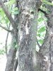 IMG_20150526_130236_335.jpg