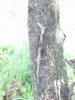 IMG_20150526_130246_384.jpg