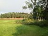 IMG_0414.JPG