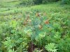 DSCN2757.JPG