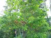 DSCN2759.JPG