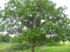 DSCN2765.JPG