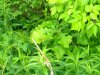 DSCN2763.JPG