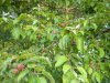 DSCN2764.JPG
