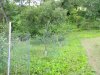 DSCN2744.JPG