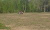 20150523_180528.jpg