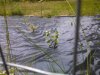 IMG_20150621_115618_298.jpg