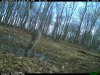 IMG_0205.JPG