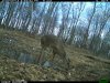 IMG_0212.JPG