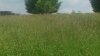 Main Wide 07122015.jpg