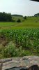 20150705_162920-768x1365.jpg