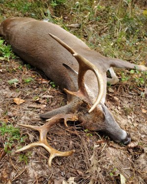 Doublebrow Post Harvest.jpg