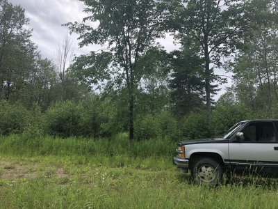 20190715_194240455_iOS.jpg