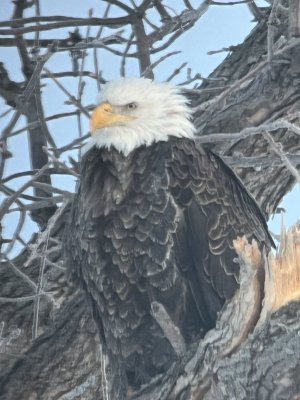 213F8D65-A891-430B-A6E9-CFAAF463A1DA.jpeg