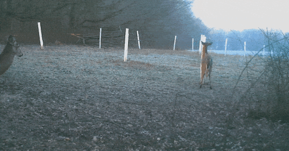 ezgif.com-optimize (2).gif