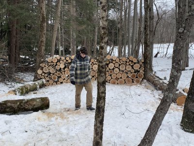 Wood pile.jpg