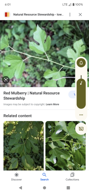 Screenshot_20230403-060139.png