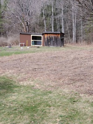 IMG_20230405_123233.jpg