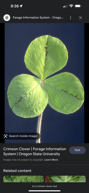 B3CE8137-7668-49CD-B633-F5B2AA3A6A8F.png