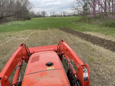 tilling clover plots after spraying.jpg