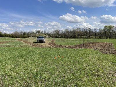 3 trees on new food plot.jpg