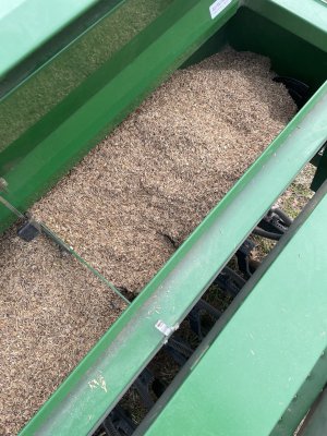 native prairie seed in drill.jpg