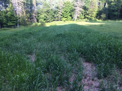 IMG_2708 (2).jpeg