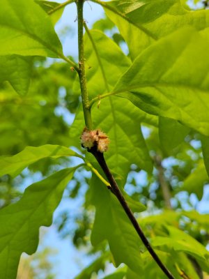 20230517_174731.jpg