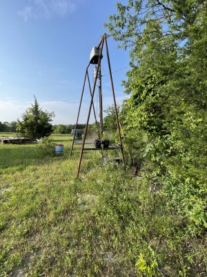 IMG_8412.jpeg