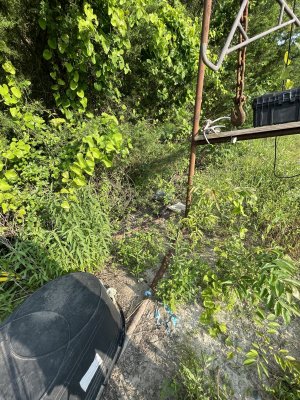 IMG_8413.jpeg