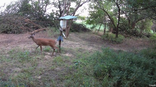 blind 1-Creek 2.jpg