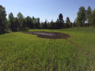 IMG_4660.JPG