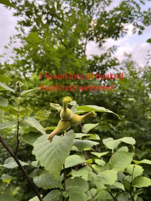 IMG_6014.JPEG