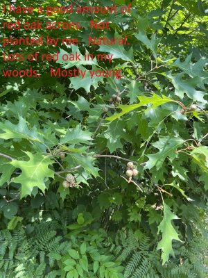 IMG_6020.JPEG