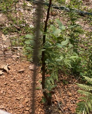 IMG_1451.jpeg IMG_1451.jpeg