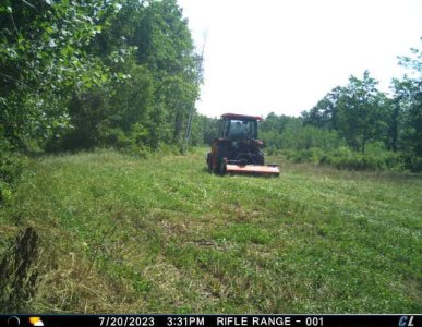 clover on the rifle range.jpeg