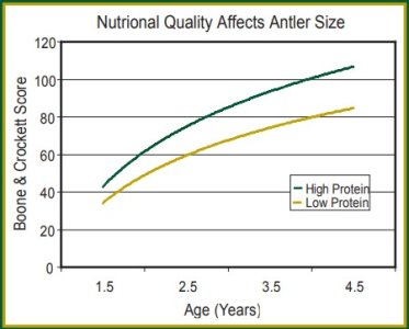 NutritionalQualityAffectsAntlerSize.jpg