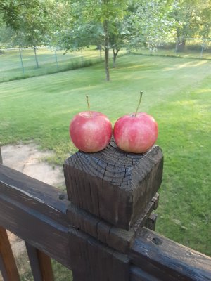 20230804_190441.jpg