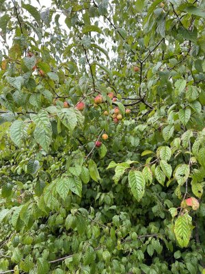 IMG_3944.jpeg