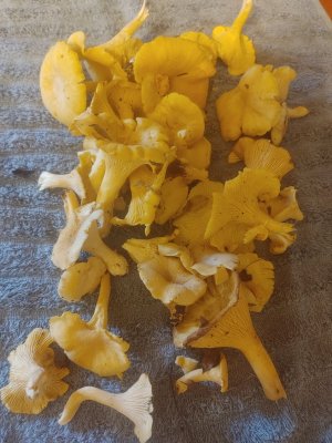 20230815_154939.jpg