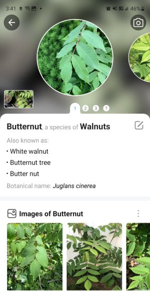 Screenshot_20230831_154105_PictureThis.jpg