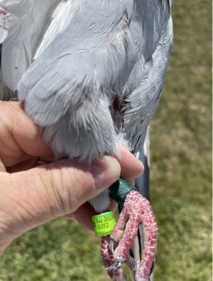IMG_5919.jpeg