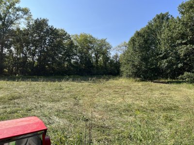 IMG_3384.jpeg IMG_3384.jpeg
