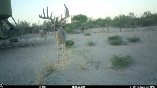 IMG_0085.jpeg