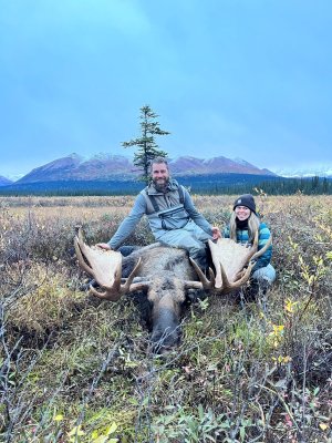 MOOSE 1.jpg MOOSE 1.jpg